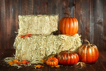 Image showing Fall Themed Scene With Pumpkins on Wood 