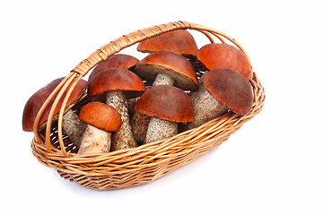 Image showing Mushrooms, aspen mushrooms in a wicker basket on a white backgro