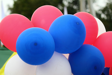 Image showing Red, blue, white rubber balloons, filled with gas.