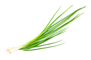 Image showing Spring Onion