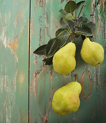 Image showing Yellow Pears