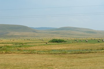 Image showing summer landscape