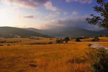 Image showing summer landscape