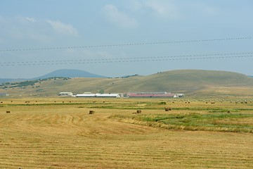 Image showing summer landscape