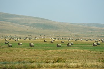 Image showing summer landscape