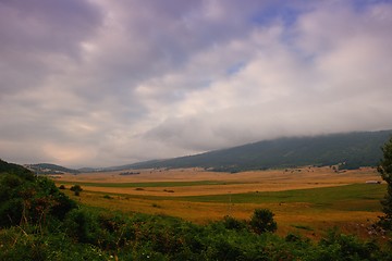 Image showing summer landscape