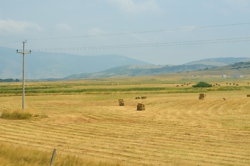 Image showing summer landscape