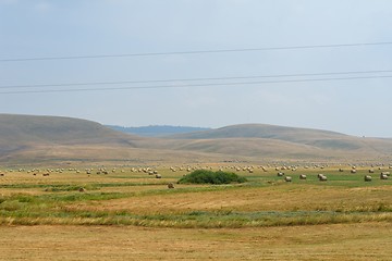 Image showing summer landscape