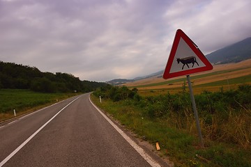 Image showing road through the green field