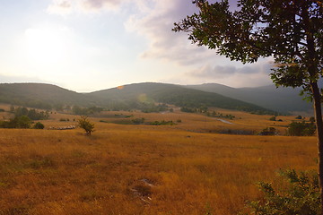 Image showing summer landscape