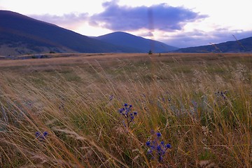 Image showing summer landscape