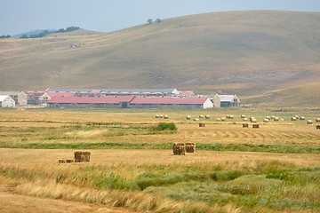 Image showing summer landscape