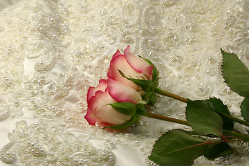 Image showing beaded satin and a roses