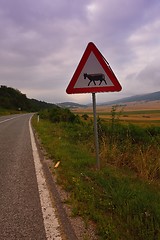 Image showing road through the green field