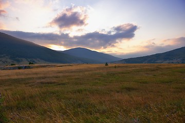 Image showing summer landscape