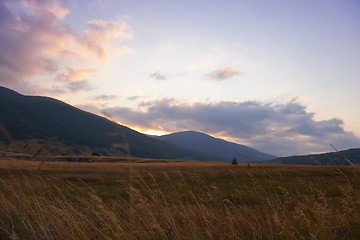 Image showing summer landscape