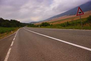 Image showing road through the green field