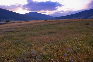 Image showing summer landscape