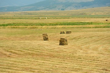 Image showing summer landscape