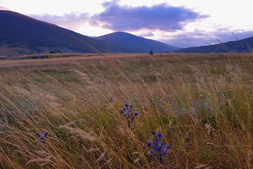 Image showing summer landscape