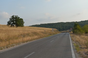 Image showing road through the green field