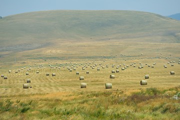 Image showing summer landscape