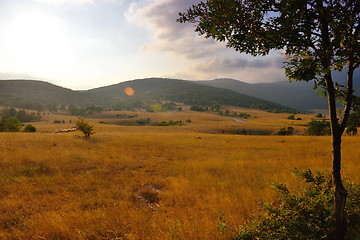 Image showing summer landscape