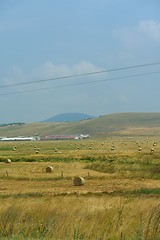 Image showing summer landscape