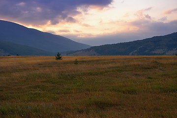 Image showing summer landscape