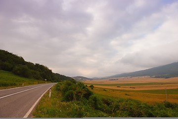 Image showing road through the green field