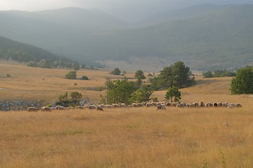 Image showing summer landscape