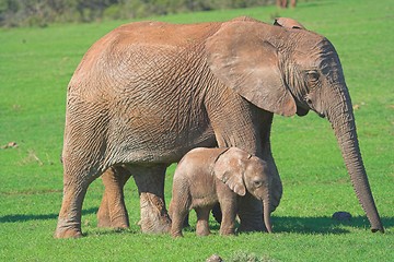 Image showing mother and baby