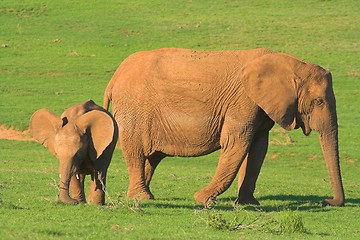 Image showing mother and baby