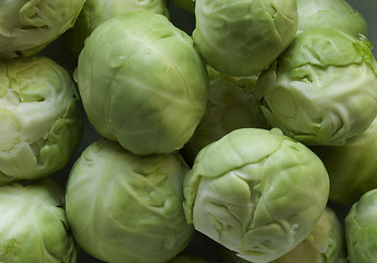 Image showing Brussels sprouts