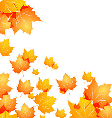 Image showing Autumn background with flying maples
