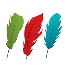 Image showing Set colorful feathers isolated on white background