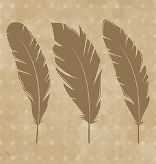 Image showing Set vintage feathers on grunge background