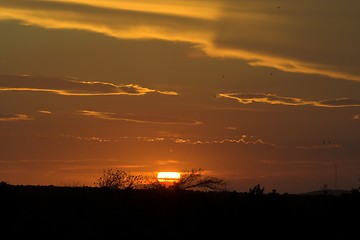 Image showing African Sunset