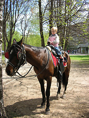 Image showing Little horse rider