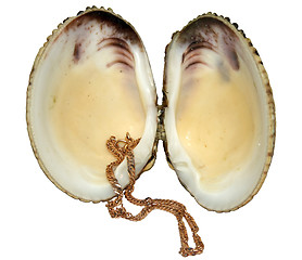 Image showing Chain in a shell