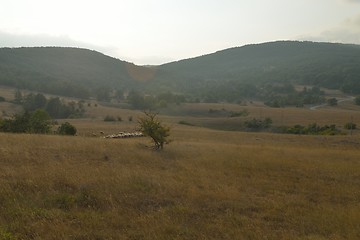 Image showing summer landscape