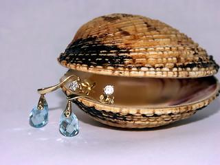 Image showing Shell earrings