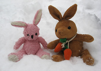 Image showing Snow hares