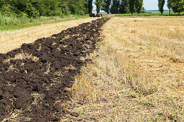 Image showing field after harvesting