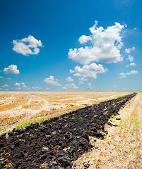 Image showing ploughed field under blue sky