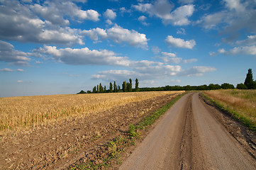 Image showing rural road and field of wheat with low dark cloud