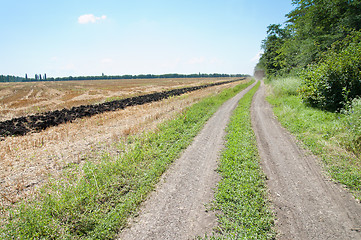 Image showing rural road near field