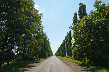 Image showing road in trees