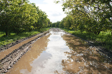 Image showing rural road with big puddle