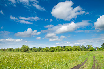 Image showing rural road in green field